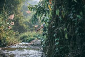 BIB: 
                            <button type="button" onclick="openModal(13716756)" class="btn btn-primary btn-sm float-right btn-popup" data-toggle="modal" data-target=".modal-high-quality">
                        <i class="fas fa-shopping-cart"></i> Add to Cart
                    </button>
                                            <button type="button" onclick="isThisMe(13716756, true)" class="btn btn-success btn-sm float-right btn-popup btn-isme hidden" data-toggle="tooltip" data-placement="bottom" title="นี่คือรูปของคุณใช่ไหม คลิกที่นี่เพื่อเอาเข้าอัลบั้ม">
                        <i class="fas fa-plus"></i> Add to album
                    </button>
                    <button type="button" onclick="isThisMe(13716756, false)" class="btn btn-warning btn-sm float-right btn-popup btn-isnotme hidden">
                        <i class="fas fa-ban"></i> Remove from album
                    </button>